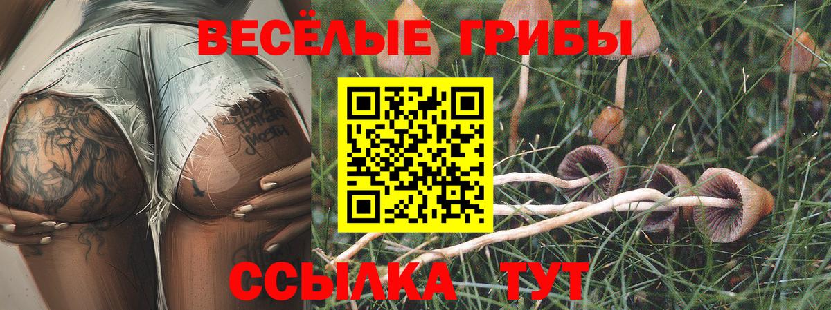 Галлюциногенные грибы Cubensis  Псилоцибиновые грибы Cubensis  Набережные Челны  Вход с VPN 